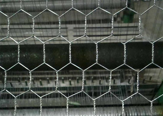 Điện galvanized sau khi dệt lưới lưới sợi dây gà sáu góc